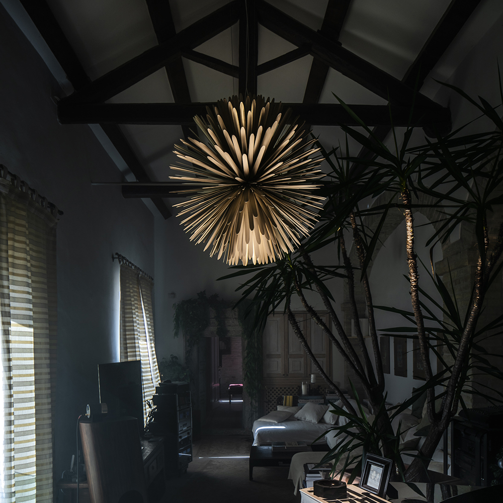  Sun – Light of Love