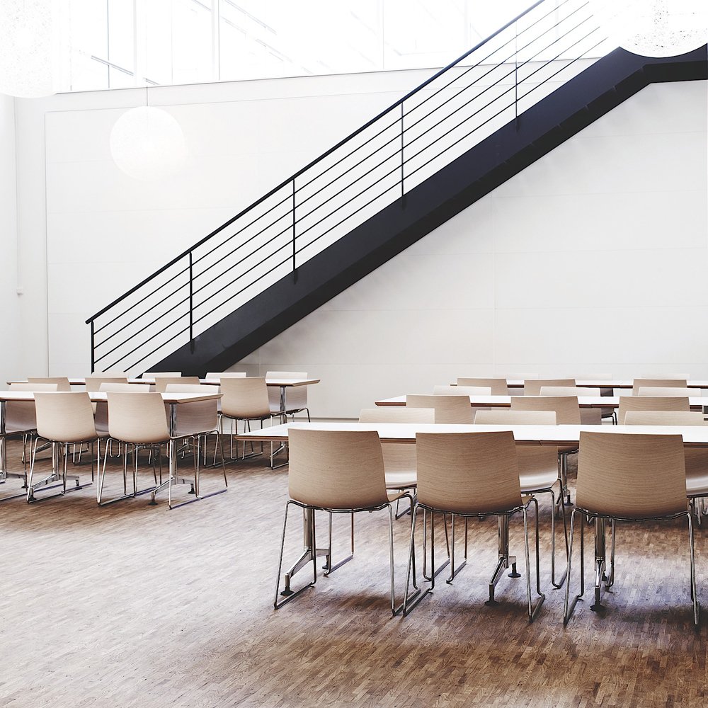 Catifa 46 Sled Collection