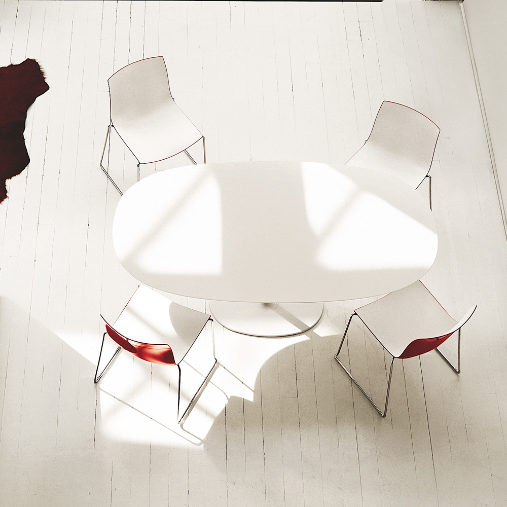 Catifa 46 Sled Collection