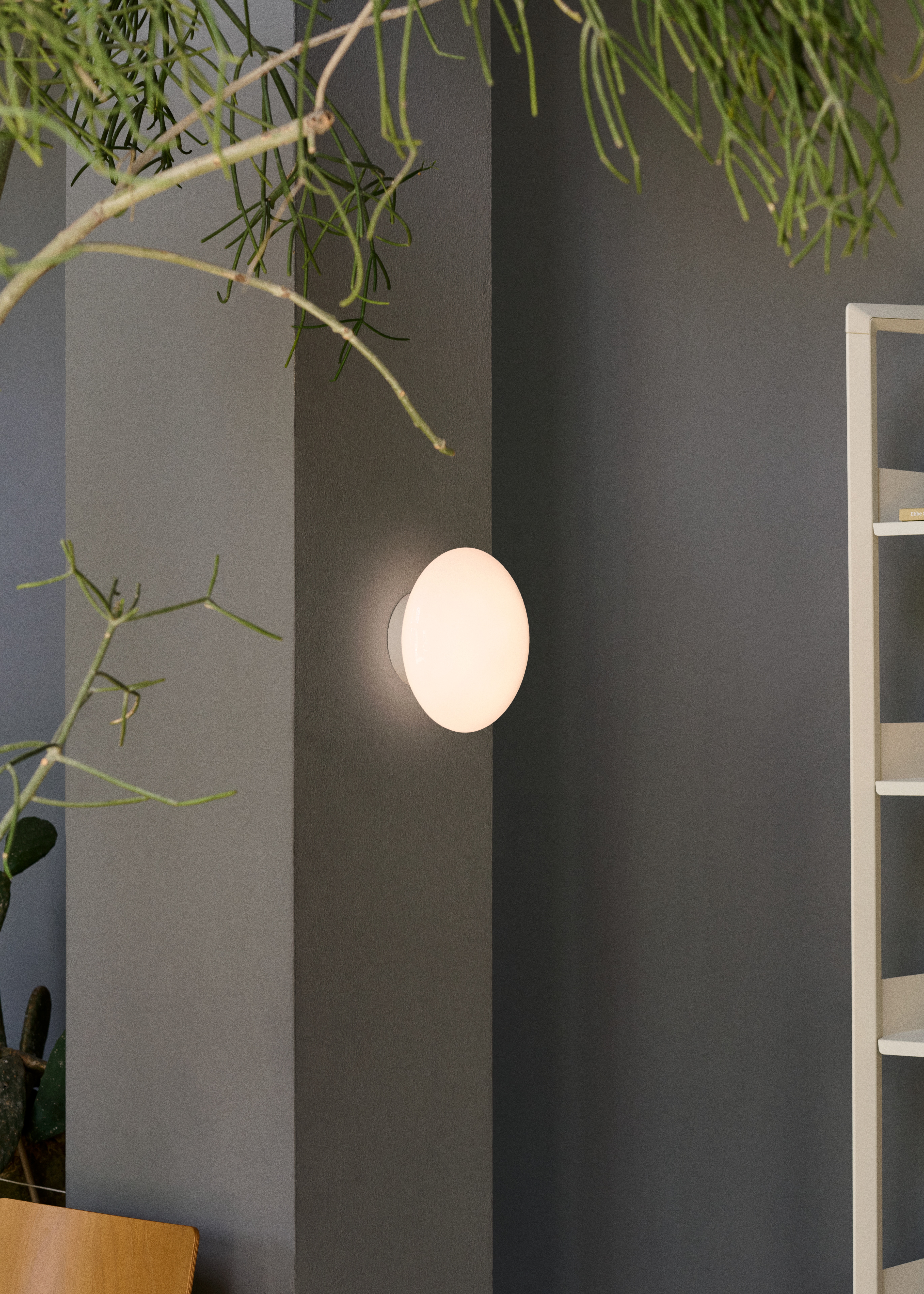 atd-retail-2025-mist-ap22-8