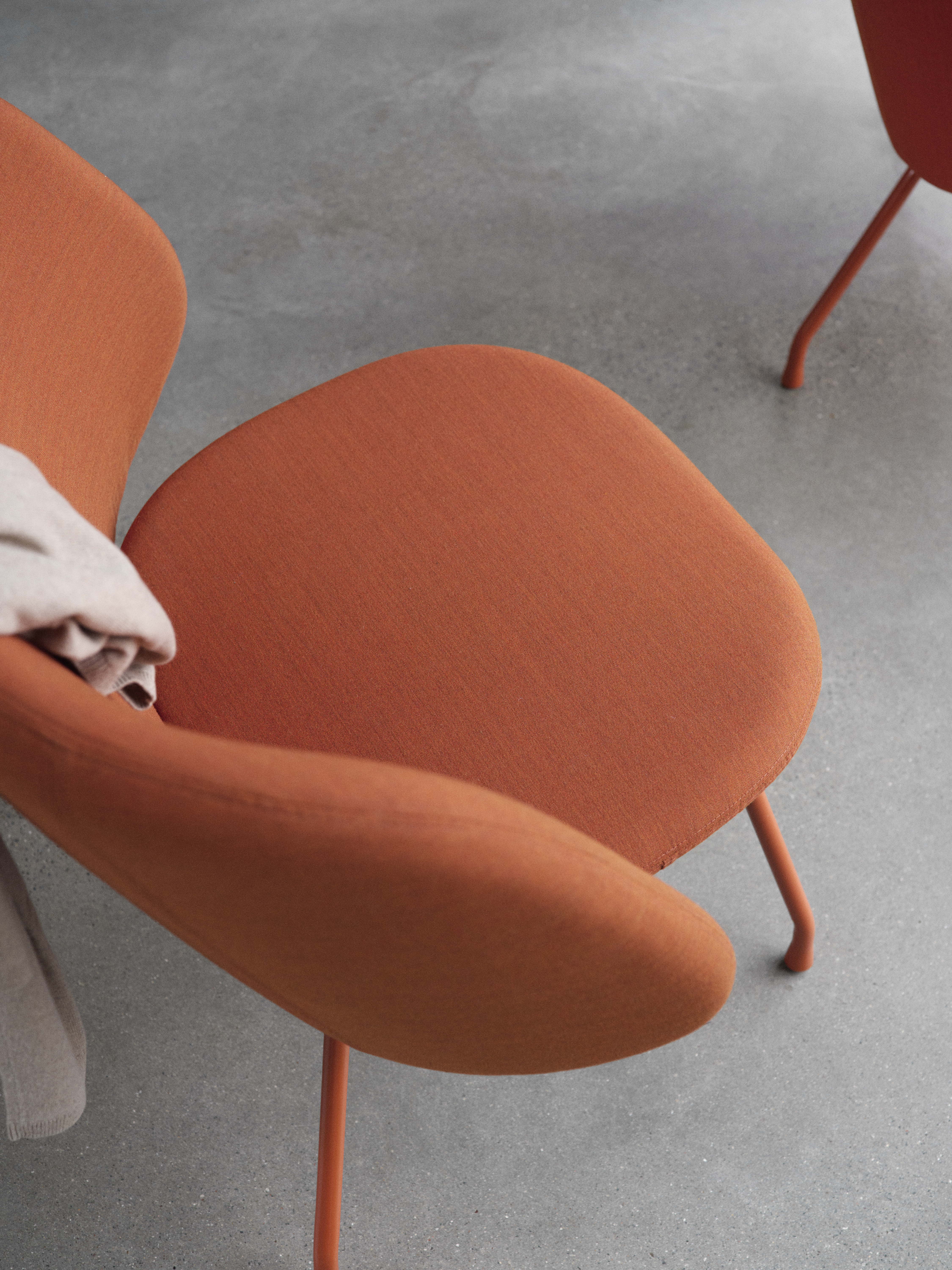 evy-softline-15