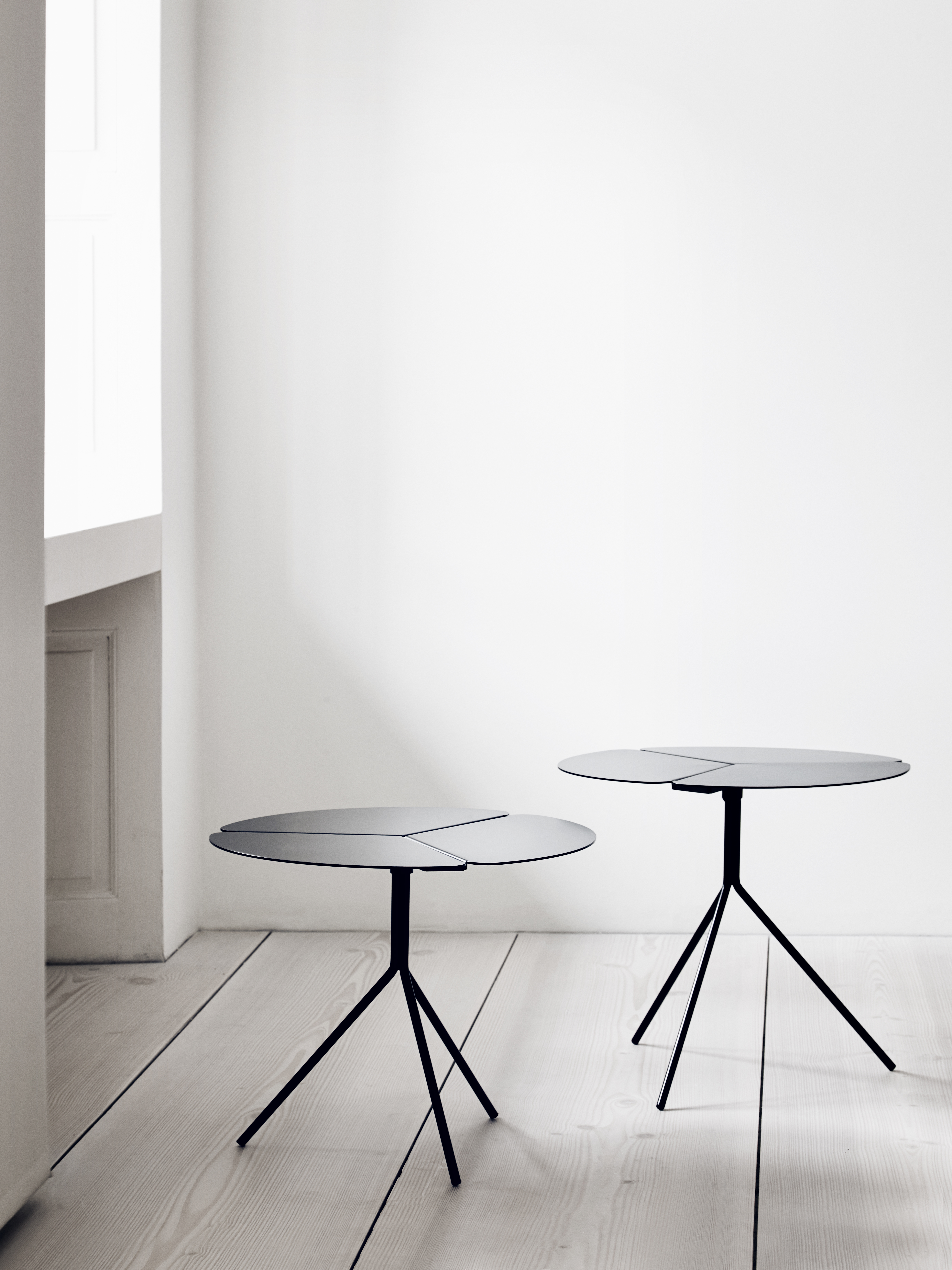 folia-softline-04