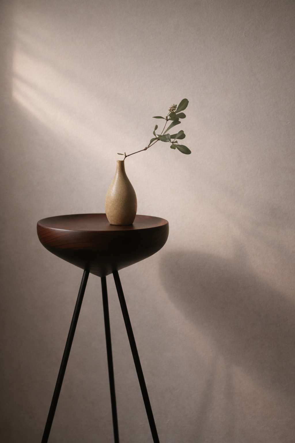 kinomi-credit-gamfratesi