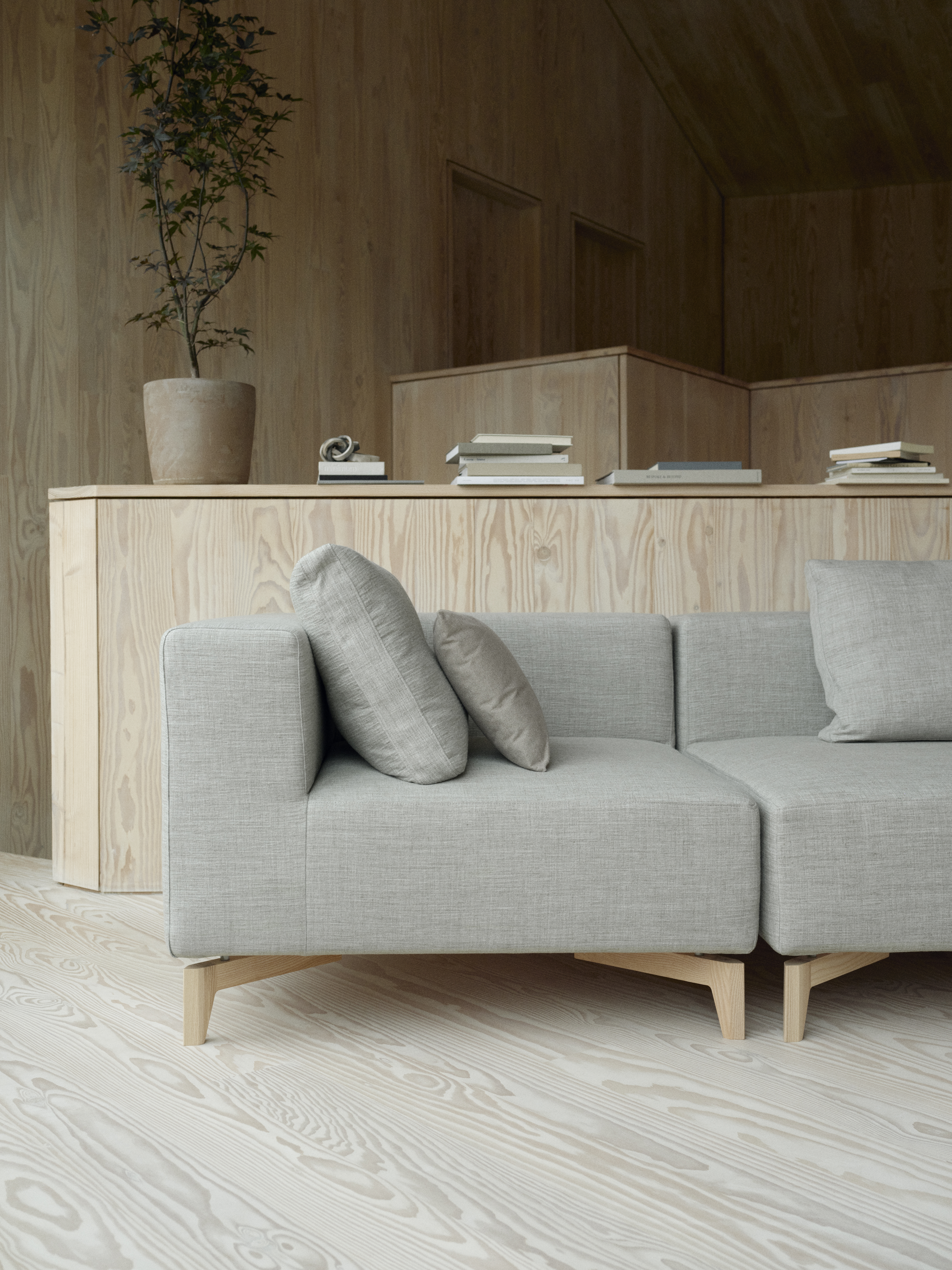 passion-softline-12