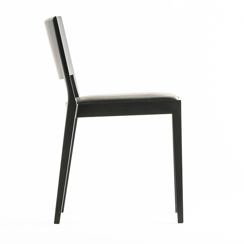 A Chair in the Forest