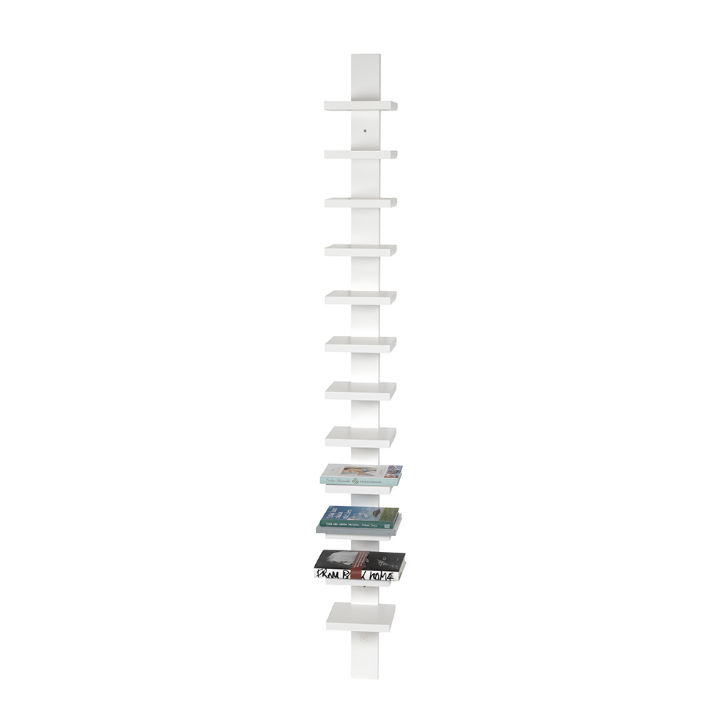 Pilaster